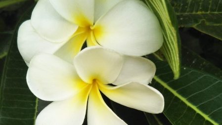 <span class="vcard">seamanz2016</span>